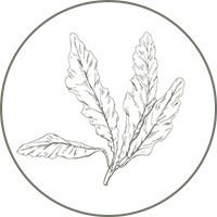 http://neiris.webstart.gr/wp/wp-content/uploads/2023/06/2222222-08.png